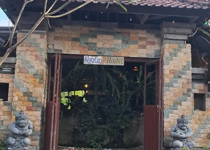 Hostel The Nyulu
